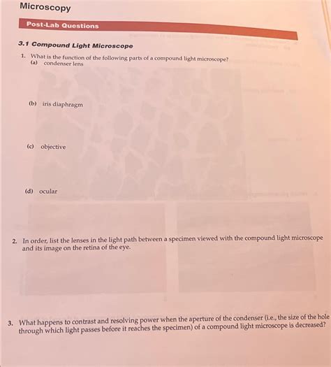 Solved MicroscopyPost-Lab Questions3.1 ﻿Compound Light | Chegg.com