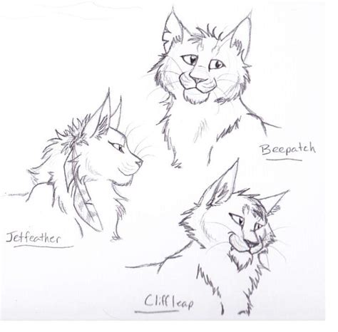 Jet Cliff Bee Sketches By Captainmorwen On Deviantart