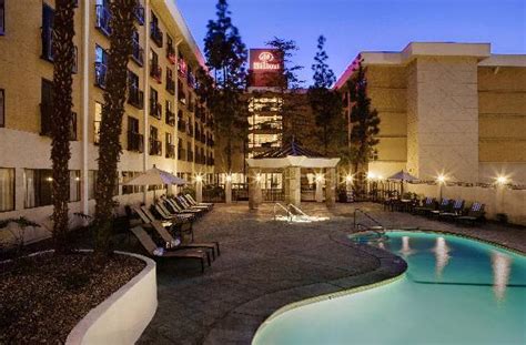 Hilton Stockton