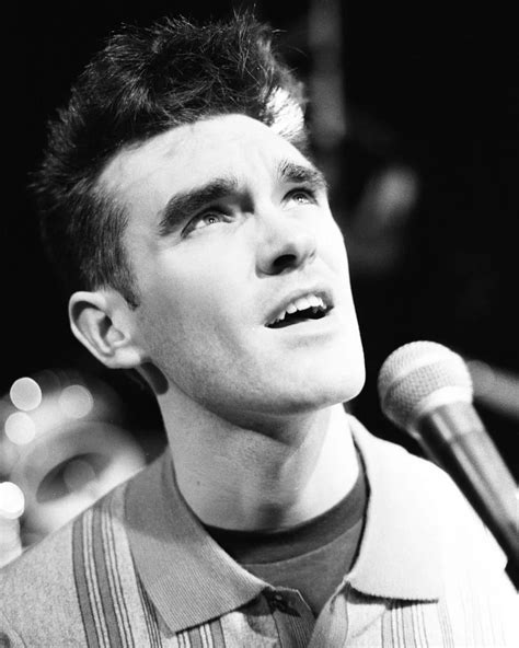 The Sex Pistols At Manchester Lesser Free Trade Hall Mirror Online