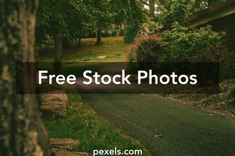 Fry Road Park Photos Download The Best Free Fry Road Park Stock Photos