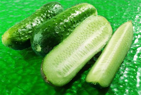 Mature Cucumber Stock Photos Free Royalty Free Stock Photos