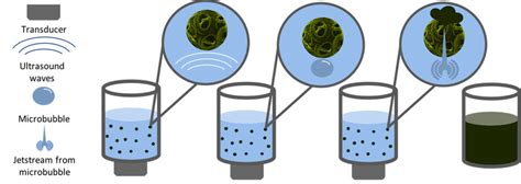 Different Methods Involved In Ultrasound Assisted Extraction Different