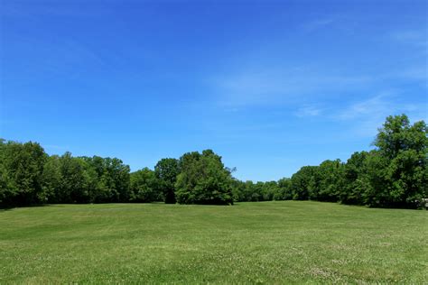 meadow  blue sky  stock photo public domain pictures