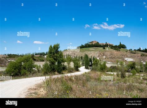 Cypress Tree Lined Hi Res Stock Photography And Images Alamy