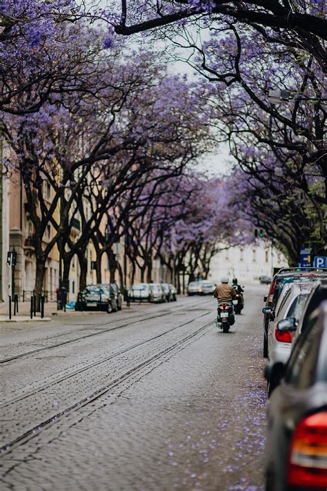 Hd Wallpaper Lisbon Portugal Street Europe Lisboa Architecture