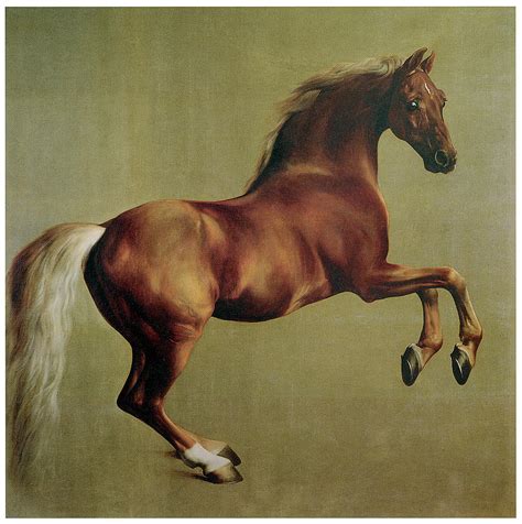Whistlejacket Painting by George Stubbs