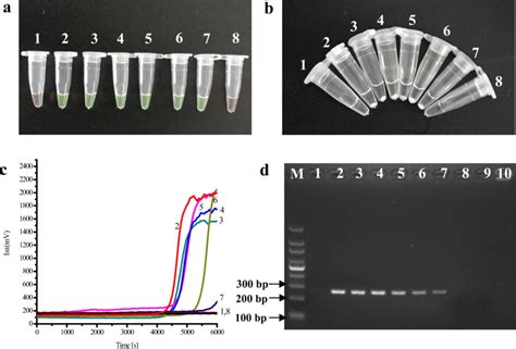 Detection Limits Of Spia And Pcr Methods With Fold Serially Diluted