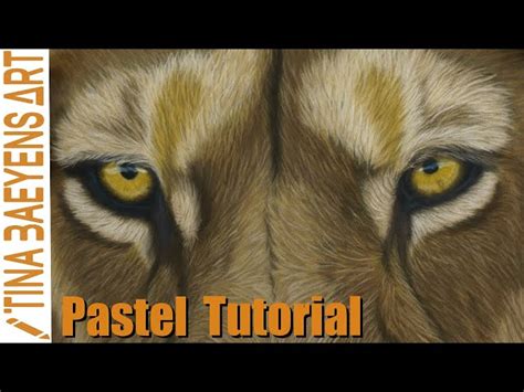 How To Draw Realistic Lion Eyes
