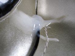 Black Patent Mary Jane High Heel Shoes Porn Pictures XXX Photos Sex Images 257018 PICTOA