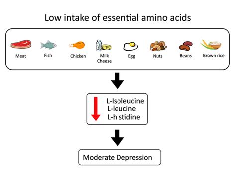 Nutrients Free Full Text Deficiency In The Essential Amino Acids L Isoleucine L Leucine And