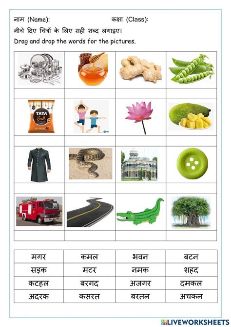 Do Akshar Waale Shabd Interactive Worksheet Live Worksheets 41 Off