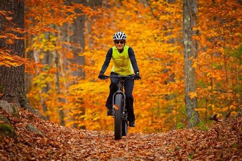 Fall Color Tours In St Ignace Upper Peninsula Michigan Lake