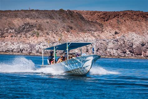 The History of the Panga | Boating Mag