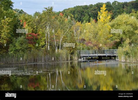 Enjoy The Fall Foliage In Toronto Stock Photo Alamy