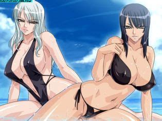 One Piece Ecchi Luscious Hentai Manga Porn