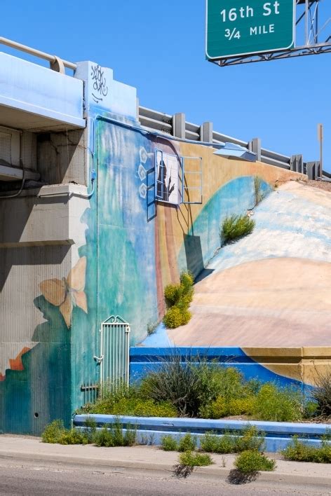 The hidden structure of the Arizona oasis | ASU News