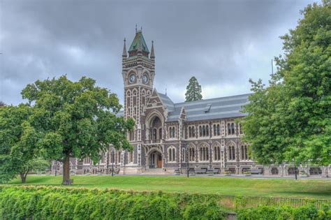 Moving To Dunedin A Guide To The Best Neighbourhoods