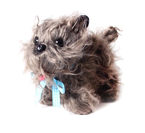 Toto Dog Costume Wonderland