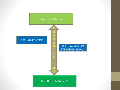 triangle of death on your face 4