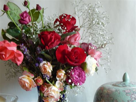 June roses from my garden