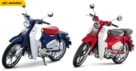 Chi Tiết Với Hơn 48 Về Xe Máy Honda Cub Mới Mới Nhất F5 Fashion