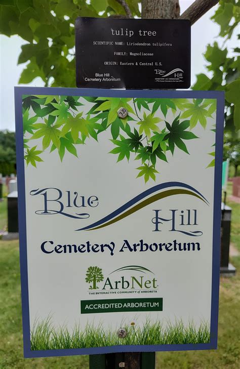 Memorial Services and Burial Information at Blue Hill Cemetery 8