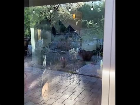 Desnudándose frente a la ventana XVIDEOS