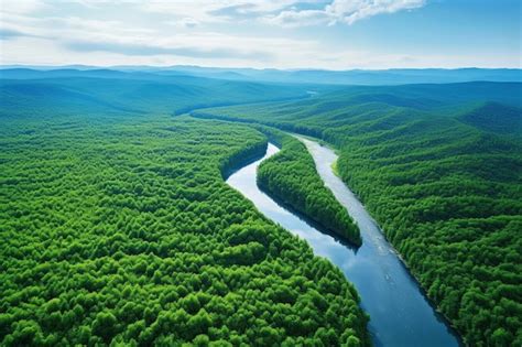 Premium Photo Aerial View Of A Winding River Through Lush Greenery