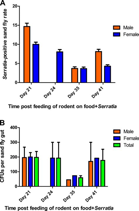 Presence Of Bacteria In Adult Ph Papatasi Sand Flies Emerged From