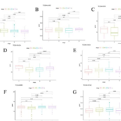 Pan Cancer Il1r1 Expression In Different Who Stages A J Pan Cancer Download Scientific