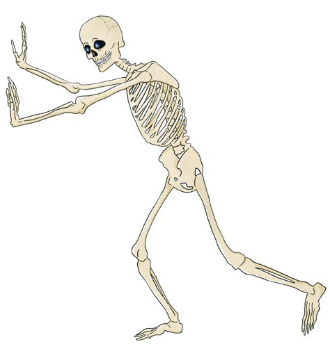 Twerking Skelett GIF