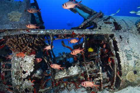 The Untold Story Of Anonib Hawaii: A Deep Dive. Image 17