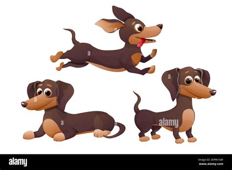 Set Cute Dachshund Puppy Jumping Lying And Standing And Smiling In