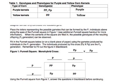 Solved Table 1: Genotypes and Phenotypes for Purple and | Chegg.com