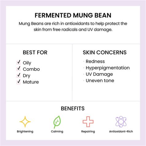 Ingredient 101 Fermented Mung Bean