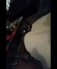 Cum Shot Gay Man Porn XHamster