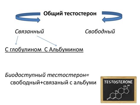 Эректильная дисфункция - презентация онлайн
