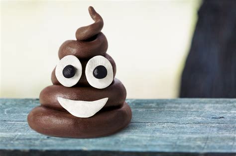 "We need to harness the power of poop" | Research Communities by ...
