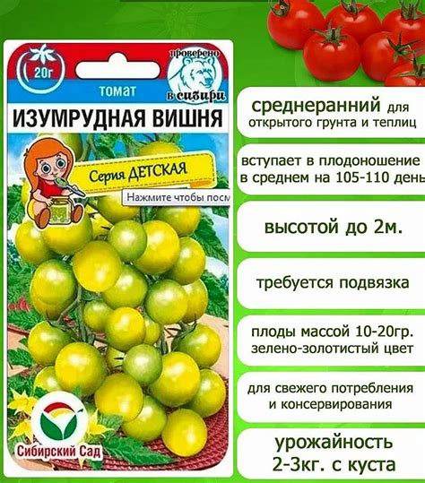 Семена Томат Изумрудная вишня: описание сорта, фото - купить с ...
