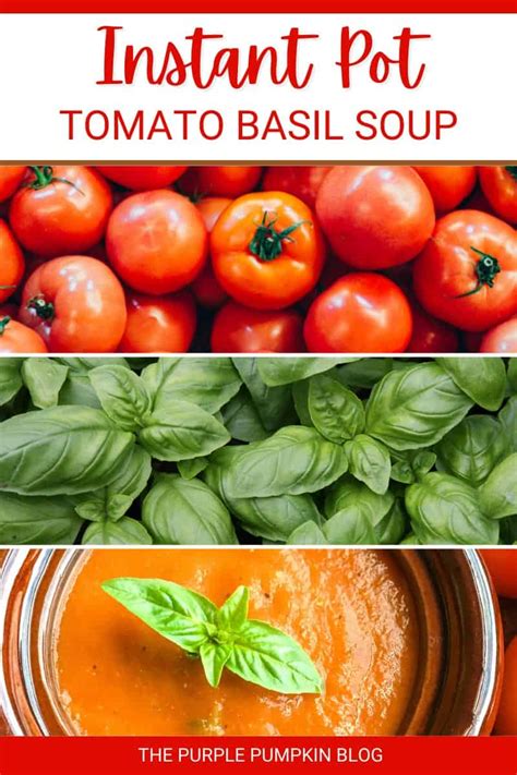 30 Minute Instant Pot Tomato Soup Recipe