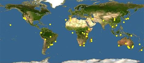 Acacia mearnsii - DMT-Nexus Wiki