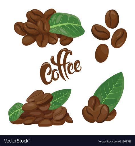 A Set Of Coffee Beans Collection Royalty Free Vector Image