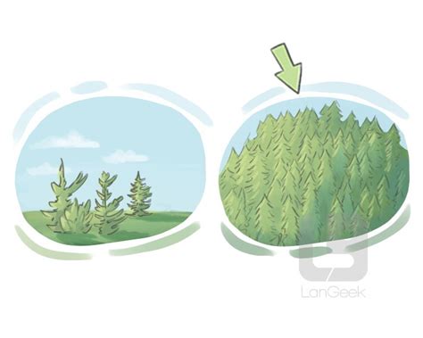 Definition And Meaning Of Lush Picture Dictionary