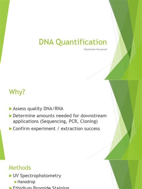 281 Dna Quantification Pdf Scientific Method Genetics