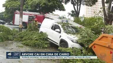 Jornal da EPTV 2ª Edição Ribeirão Preto Árvore cai em cima de carro