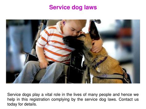 PPT - Service dog laws PowerPoint Presentation, free download - ID:7634202