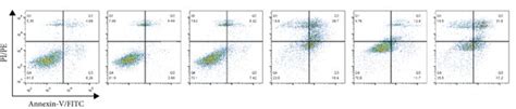 Effect Of Ar And Gl Extracts On Dox Induced Loss Of Mitochondrial