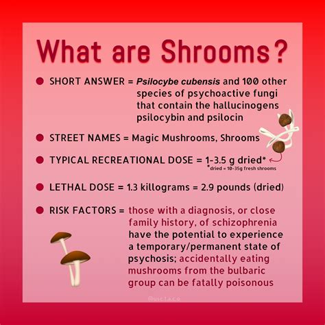 Someone Eating Shrooms