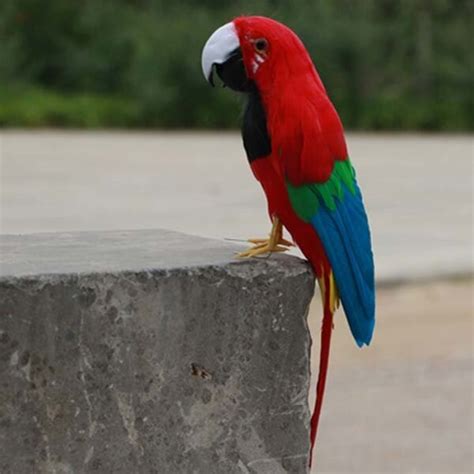 Simulación de pájaro de espuma y pluma de loro de juguete hecho por el